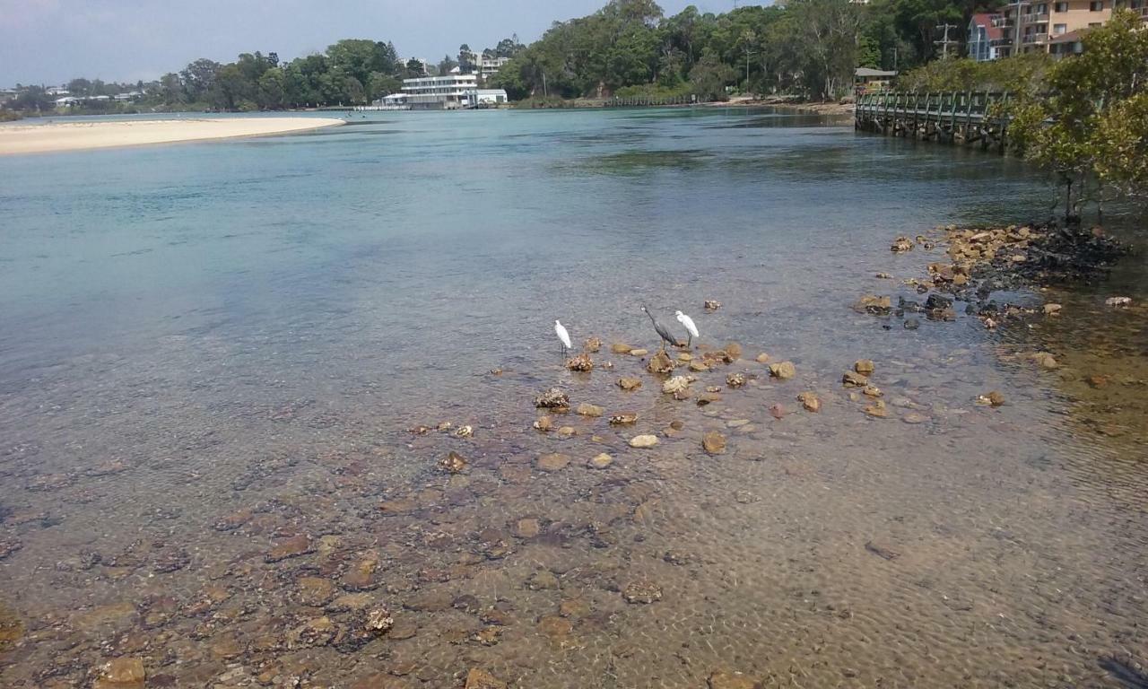 Oceanview 6 With Rooftop Terrace & * Nambucca Heads