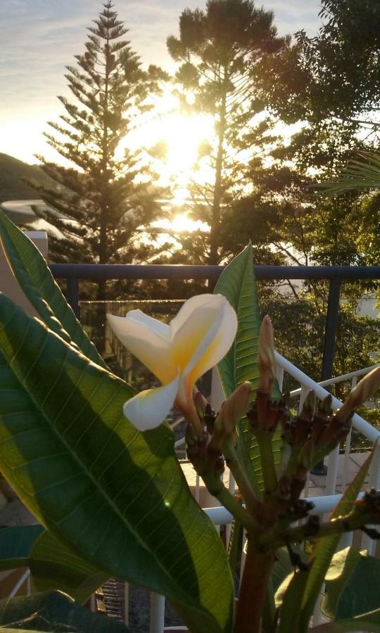 Oceanview 6 With Rooftop Terrace & Nambucca Heads